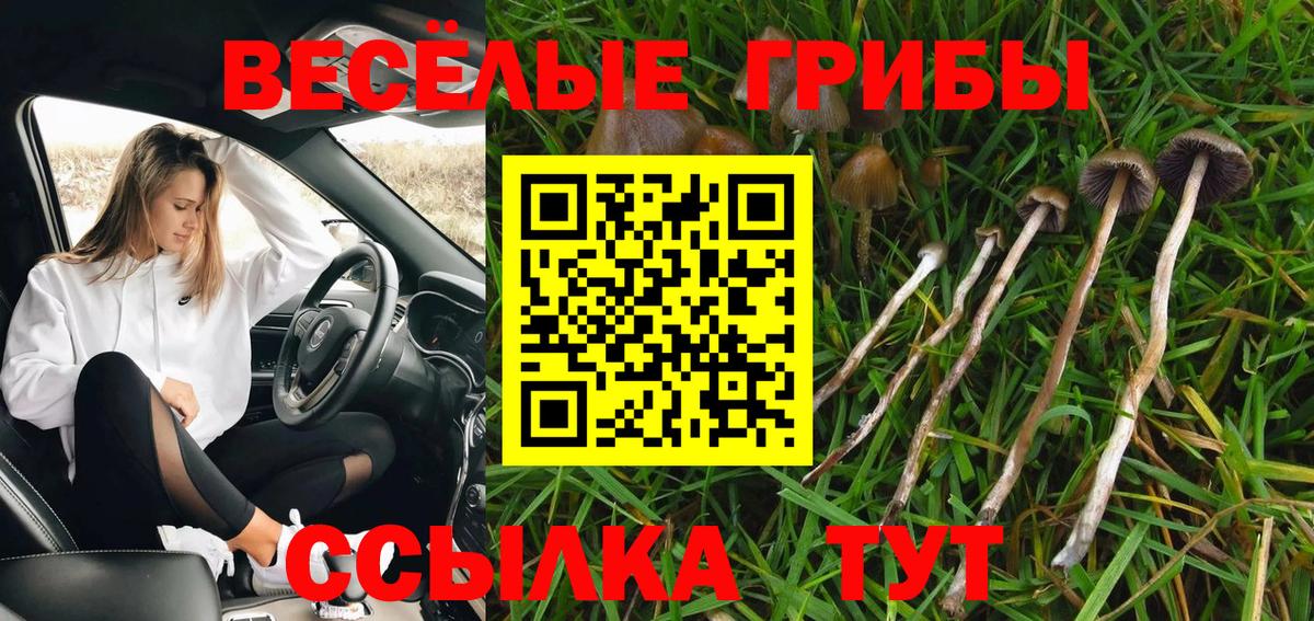 Псилоцибиновые грибы прущие грибы Муром