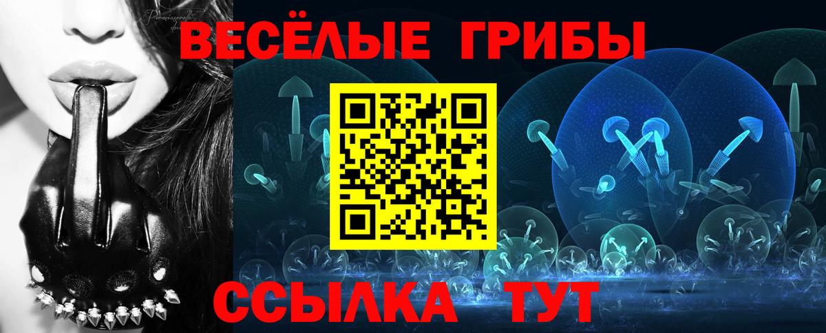 Псилоцибиновые грибы Psilocybine cubensis  Вход с VPN  Псилоцибиновые грибы MAGIC MUSHROOMS  Муром 